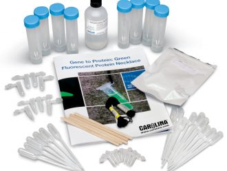 Gene to Protein: Green Fluorescent Protein Necklace Kit (with voucher)