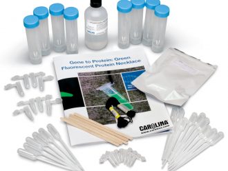 Gene to Protein: Green Fluorescent Protein Necklace Kit (with perishables)