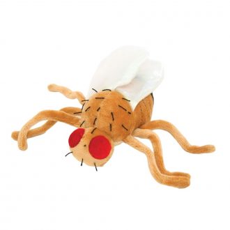 GIANTmicrobes® Fruit Fly (Drosophila melanogaster) Plush