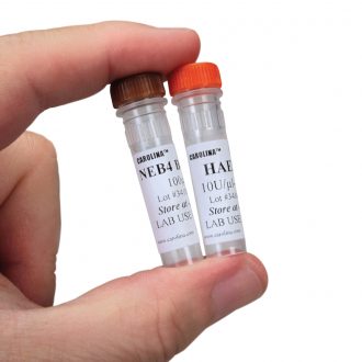 HaeIII Enzyme, 40 µL (400 units)