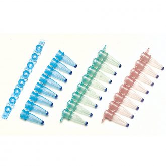 BamHI, Instant Enzyme, 16 Tubes