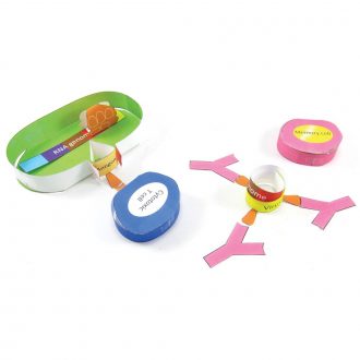 Origami Organelles™ 3-D Model Kit: RNA Vaccines