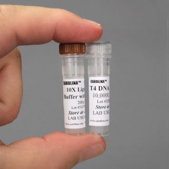 T4 DNA Ligase, Modifying Enzyme, 100 µL (20,000 units)