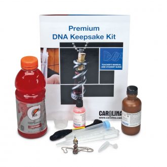 DNA Keepsake 1-Station Kit