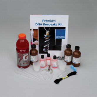 DNA Keepsake 24-Station Kit