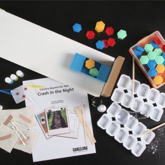 Carolina Beyond the Tape®: Crash in the Night Interdisciplinary Kit