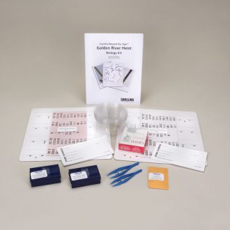 Carolina Beyond the Tape™: Golden River Heist Biology Kit