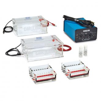 Carolina® Separation Station I Electrophoresis Equipment Package, 110-V