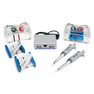 Carolina® Electrophoresis Lab Station Equipment Package, 110 V