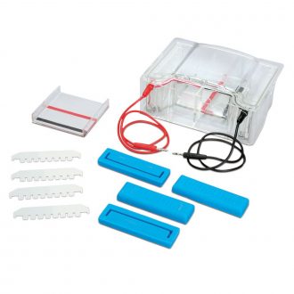 Carolina® NG Electrophoresis Chamber