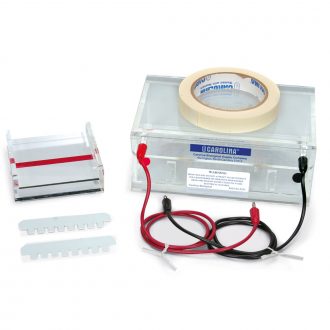Carolina® Gel Electrophoresis Chamber