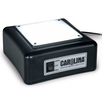 Carolina® LED Light Box