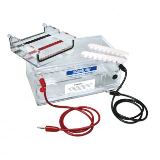 Carolina® Deluxe Gel Electrophoresis Chamber