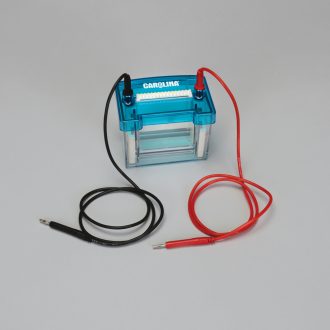 Carolina® Vertical Dual Gel Electrophoresis Chamber