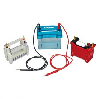 Carolina® Electrophoresis and Protein Western Blot System