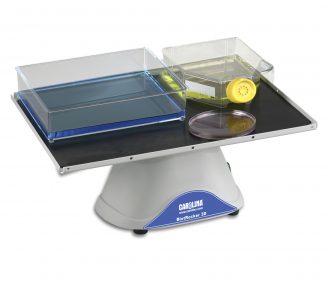 Carolina® Benchtop 3-D Rocker, 115 V