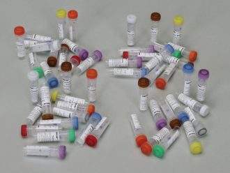HNPCC:  Detecting Inherited Forms of Cancer DNA Pack for GelGreen® Kit