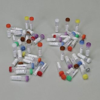 HNPCC:  Detecting Inherited Forms of Cancer DNA Pack for GelGreen® Kit