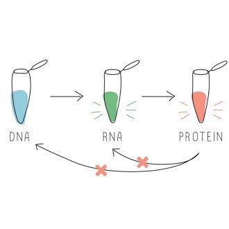 BioBits®: Central Dogma Lab
