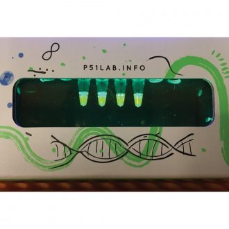 DNA Glow Lab™: Exploring DNA Structure Kit