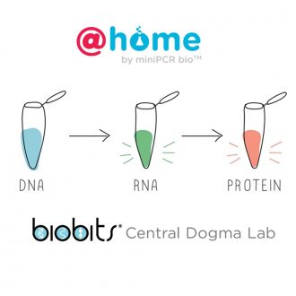 BioBits® @home: Central Dogma, Remote Learning 