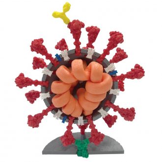 Coronavirus Model, 4'', Gray/Red