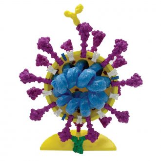Coronavirus Model, 4'', Yellow/Magenta