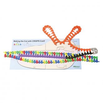 Making the Cut with CRISPR-Cas9© Set