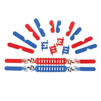 Chromosome Connections Kit© for 1 Group