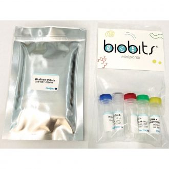 BioBits®: Antibiotic Resistance Kit