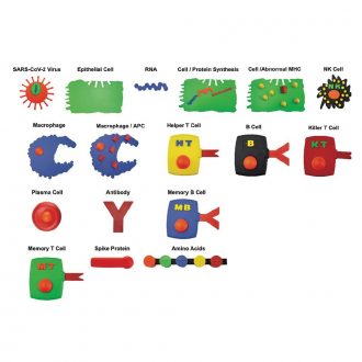 mRNA Vaccines Education Kit