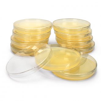 Luria Broth Agar + Ampicillin, Prepoured Medium Plates