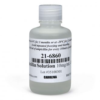 Ampicillin Solution, 100 mL