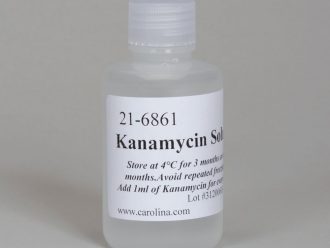 Kanamycin Solution, 100 mL