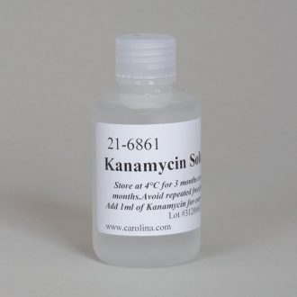 Kanamycin Solution, 100 mL