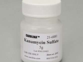 Kanamycin Dry Powder, 5 g