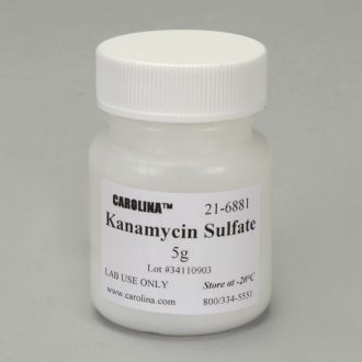 Kanamycin Dry Powder, 5 g