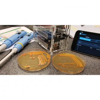 BioBuilder® Golden Bread PCR Kit (with perishables)