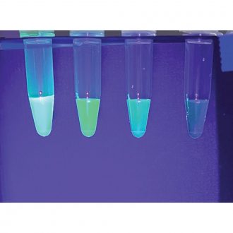 BioBuilder® Guiding Light: Measuring and Analyzing Fluorescence Kit