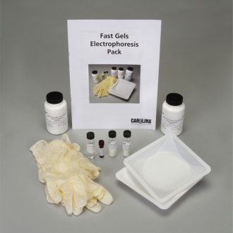 Fast Gels Electrophoresis Pack: GelGreen®