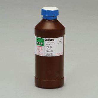 Ethidium Bromide DNA Stain, 250 mL (No Dilution Required)