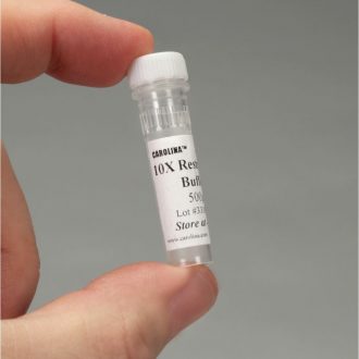 10x Restriction Buffer, 500 uL