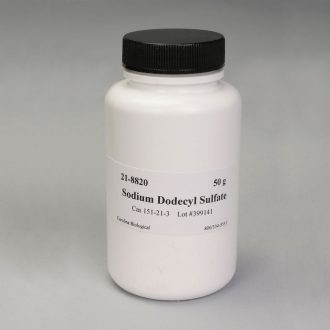 Sodium Dodecyl Sulfate (SDS), 10% Solution, 50 mL