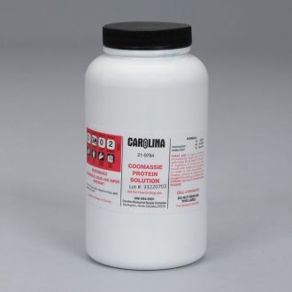 1X COOMASSIE Protein Stain Solution, 500 mL