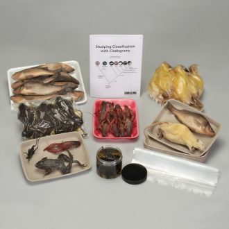 Studying Classification with Cladograms Kit