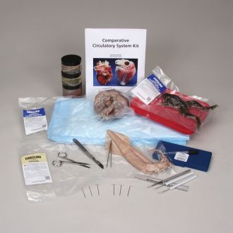 Comparative Circulatory System 8-Station Kit with Dissection Tools