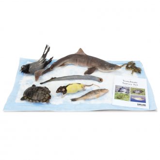 Vertebrate Survey Set