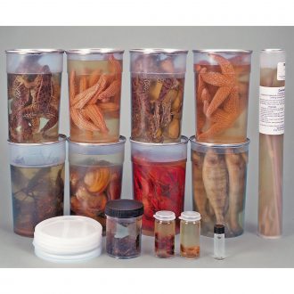 Animal Classroom Survey Set