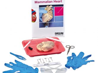 Heart Dissection Student Kit