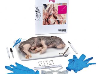 Pig Dissection Student Kit